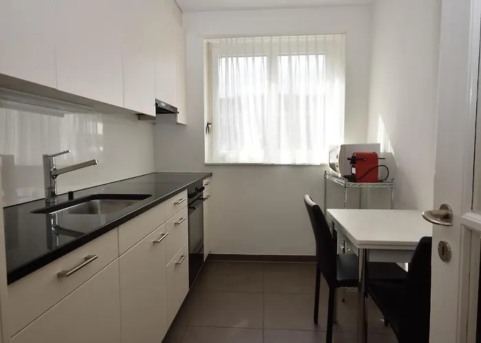 Spacious Near And Opera - Mill 512 * 苏黎世